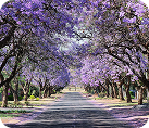 End Of Lease Cleaning Perth - Cleaning Super Boss|End Of Lease Cleaning